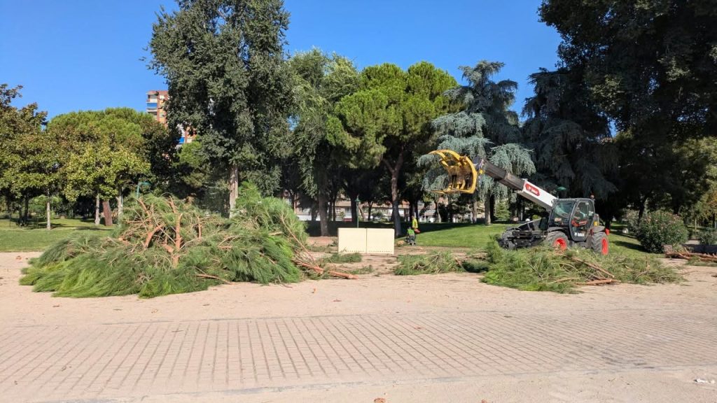 Tala masiva de árboles en La Alameda durante el puente de agosto