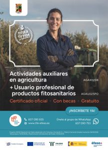 CINCO TRABAJOS PARA TALAVERA

