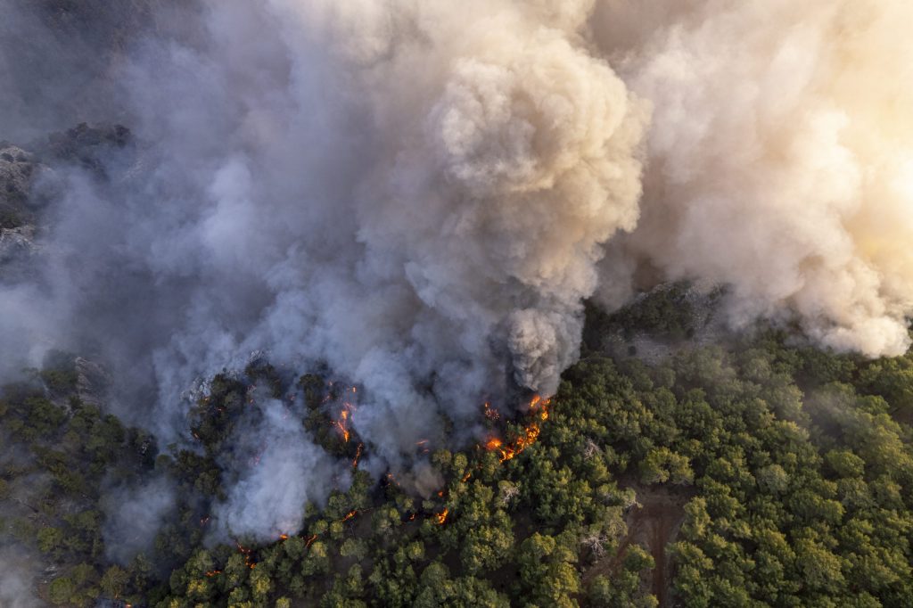 El incendió quemó más de 50.000 hectáreas