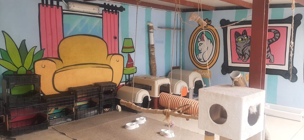 La Diputación de Toledo destina 8.000 euros al cuidado de animales abandonados en Talavera