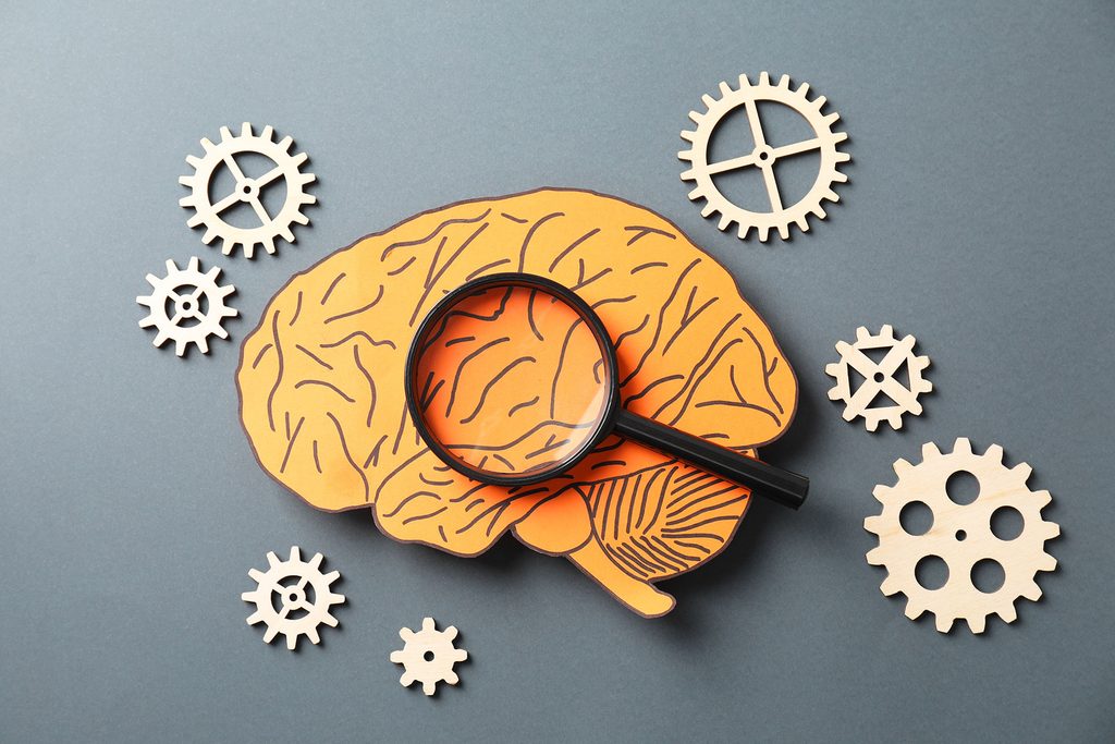 Neuropsicología y neurodivergencias: comprender cómo funciona cada cerebro para ofrecer el apoyo adecuado