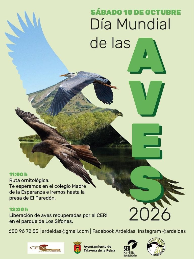 Aves, naturaleza y una liberación muy especial: el plan que llega este sábado a Talavera