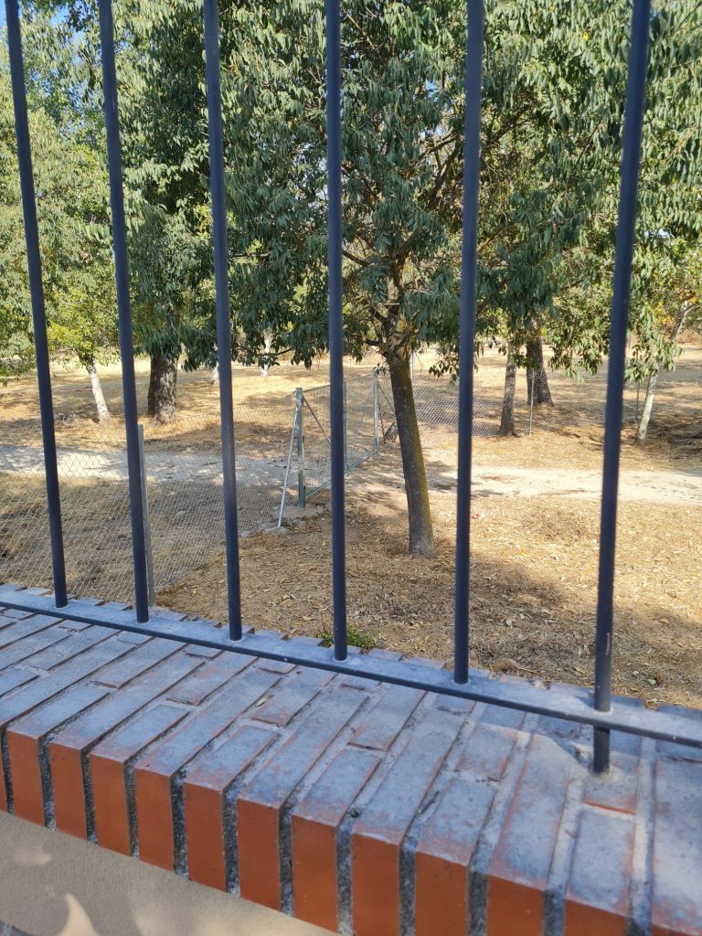 El vallado de Los Sifones genera dudas sobre las obras que se realizan en el parque