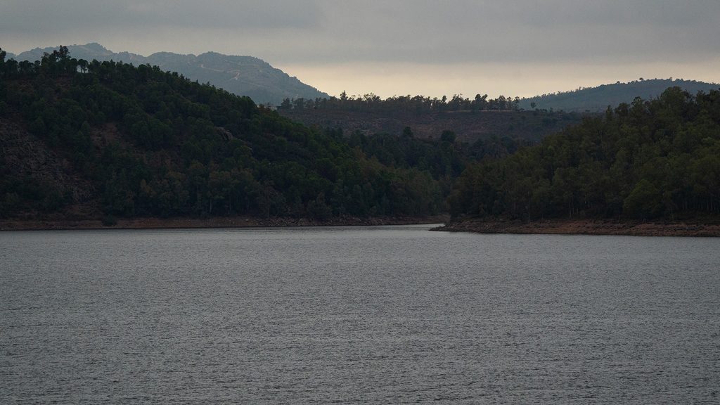 La berrea en Helechosa de los Montes: un día entre naturaleza, miradores y vida salvaje