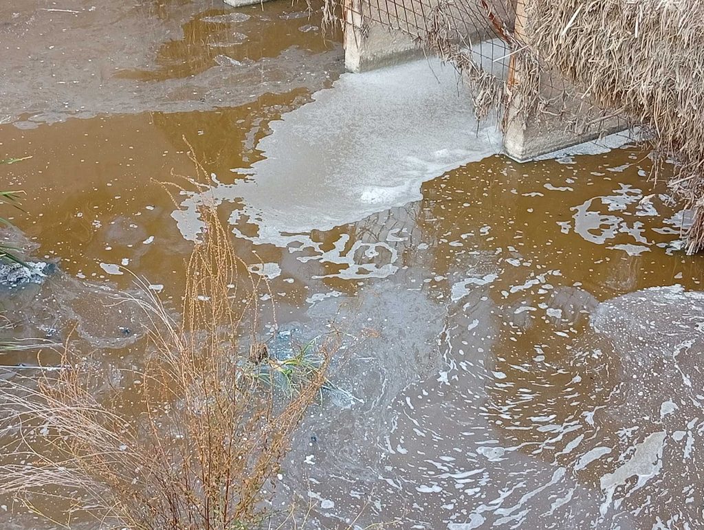 Esparvel denuncia la contaminación y los malos olores del arroyo Las Parras en Talavera