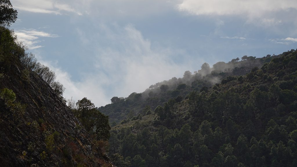 La berrea en Helechosa de los Montes: un día entre naturaleza, miradores y vida salvaje